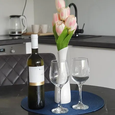 Apartment Apartman Mna