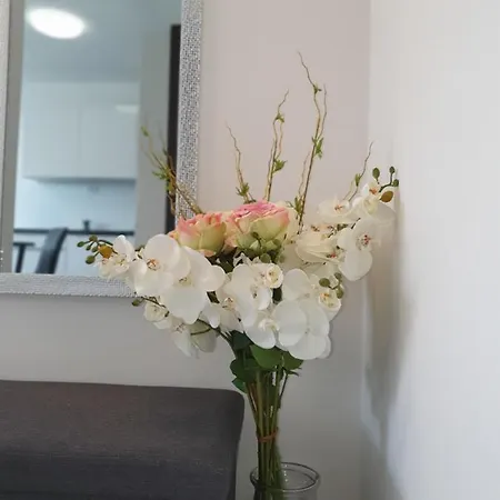 Apartman Mna *